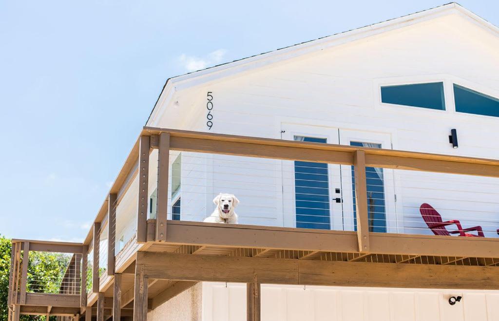 Bright New Beach House With In- Law Suite -- 2 Blocks To Beach! St. Augustine Exterior photo